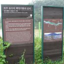 진주 유수리 백악기 화석산지 이미지