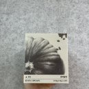 대한다업(주) - 성남시 중원구 | 대한다업 호박팥차 21T 고소하고 깊다