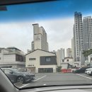카밋(calm it) | 울산 태화동 디저트 카페 무화과케이크 맛집 '카밋'