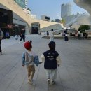 (주)노랑풍선시티버스 | 10월 둘째주 육아일상 노랑풍선 서울시티투어버스, 양재 맛집 청와옥