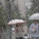 포근해 이미지