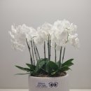 봉담정형외과의원 이미지