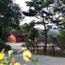 봉수산자연휴양림 이미지