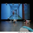 [제3회 경기공연예술페스타] 앰비규어스댄스컴퍼니<얼토당토> 이미지