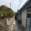 필마트 | 굼벵이액상차 테스트 후 옛날가마솥 곰탕