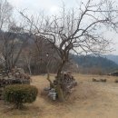 정배리베리