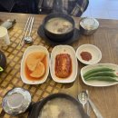 예산가마솥장수촌설렁탕일도점 | [충남/예산]속까지 뜨끈해지는 예산장수촌 설렁탕 예산본점 후기