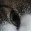 윤성전자 이미지