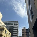 24년 obl 일본 오사카 마켓 리서치 2기 2일차 후기