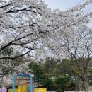 보리산캠핑장 이미지