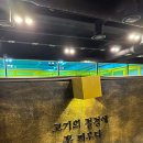 화돈화우마산 이미지