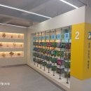 서사분교 이미지