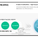 뉴라이프글로벌