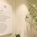 서울본튼튼정형외과의원 이미지