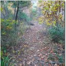 식현2리 이미지