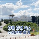 수리산보 | 강릉 감성 숙소 수리산보 &#34;리&#34;객실 솔직 후기｜감성 가득한 강릉 독채 숙소 내돈내산 리뷰