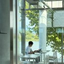 싱글몽글 이미지