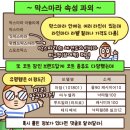 친애하는 클래식에게-라 칼라스 | 막스마라 마누엘라 카멜 IT 34 실착 후기🧥| 158cm 착용감| 로마 콘도티 거리 구매