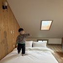 대평1구 | 서귀포 펜션 안덕면 제이큐브펜션 산방산 근처 숙소