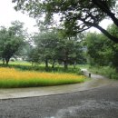 운문가는길 이미지