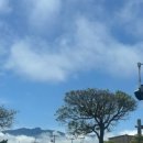 키코1983 이미지