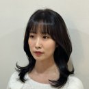 베일리헤어 이미지