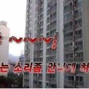 홀리크로스 이미지