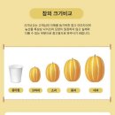 성주환경 | 쿠팡 과일 추천 성주 칠곡 참외 1kg 프리미엄 고당도 구매 후기