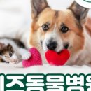 오래오래동물병원 이미지