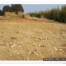 미래부동산중개사무소 이미지