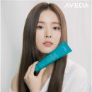 안스헤어 이미지