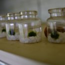 상경농장 이미지