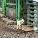 문곡4리마을회관 | 평택 한우 맛집 우리소 - 고덕 찐 로컬 직접 농사지은 식재료 음식과 소고기