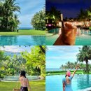 나무물고기 | 베트남 나트랑 더아남 깜란 리조트 ③ 디럭스킹룸 호텔동 일반객실 후기