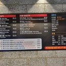 육쥽돼지 이미지