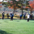 게이트볼 이미지