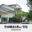 맛짱손두부 | 안성베네스트cc 맛집 맛짱손두부