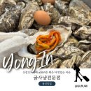 진로식품용인 | 용인 신갈오거리맛집 굴찜이 찐맛인 굴사냥전문점
