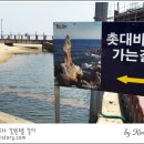 동해바다반건조 티스토리