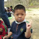 남일초교 병설유치원 이미지