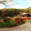 소백산 자락길 이미지
