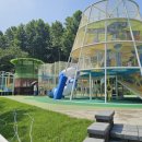 인천나비공원 이미지