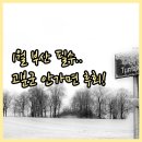 온천천4지구(연산교~안락교 ) 제2운동시설 | 1월에 부산 여행 계획 중이라면 연제구 고분군을 꼭 가야 하는 이유