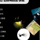 현대어린이책미술관 MOKA가든 이미지