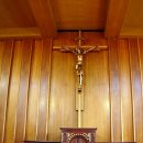 겟세마니 동산 이미지