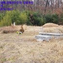 강동초 단구분교 이미지