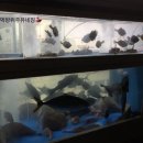 오가횟집 이미지