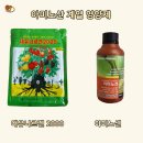 노지하우스 이미지