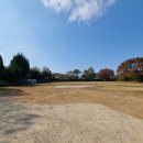 마리산초등학교 이미지