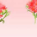 다빗 이미지